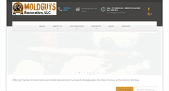 Desktop Screenshot of moldguysrestoration.com