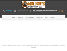 Tablet Screenshot of moldguysrestoration.com